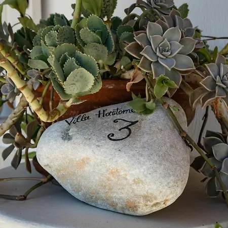 Haritomeni Parikia (Paros)