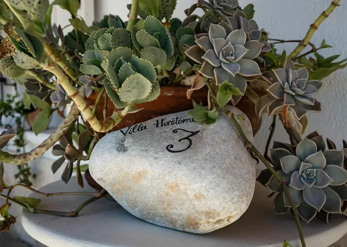 Haritomeni Parikia (Paros)